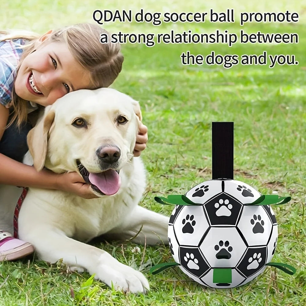 Damaly,Interactive Dog Soccer Toy with A Grip Ring, Durable Water Ball for Dogs, Dog Chasing and Playing Toy, Without Battery