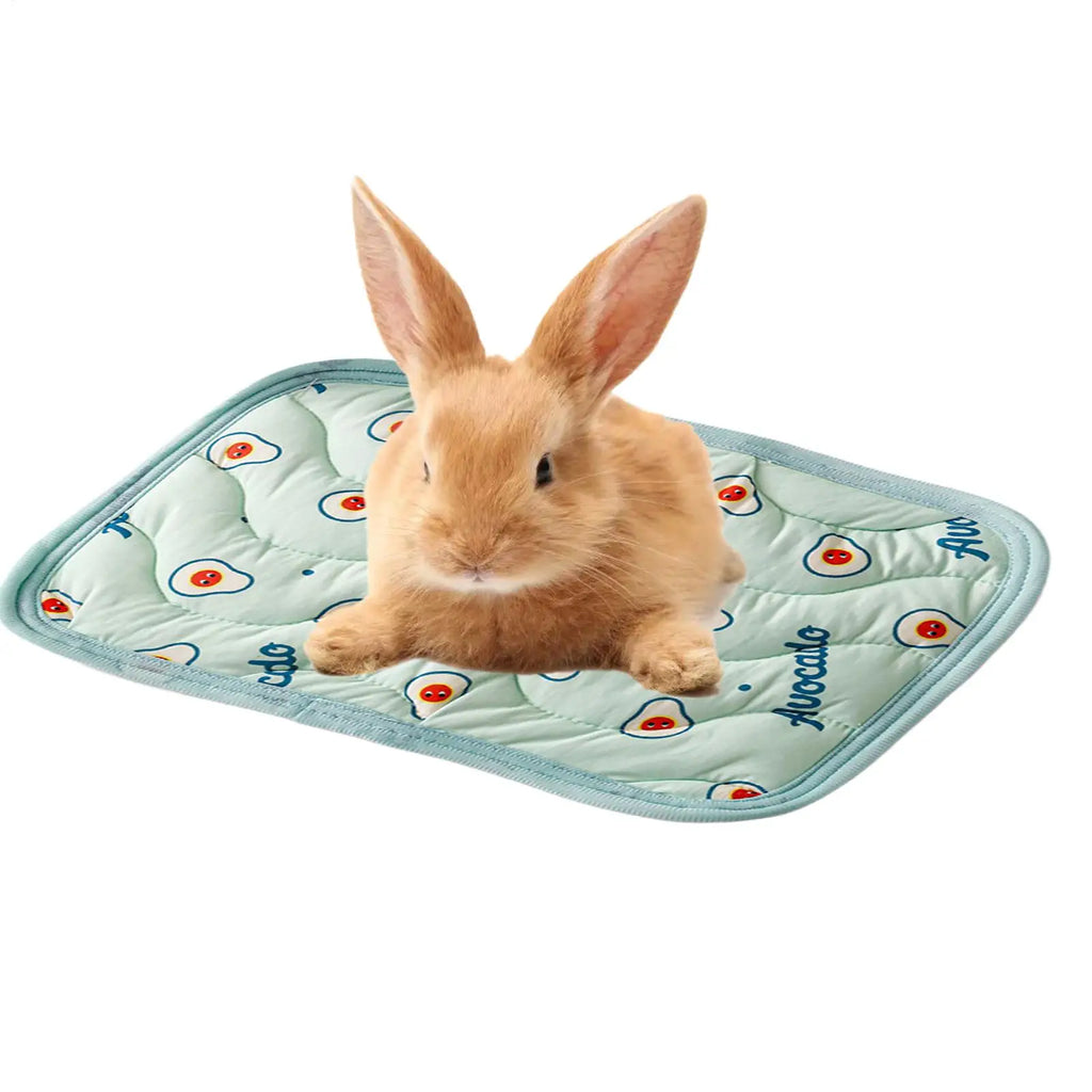 Dog Cooling Sleeping Bed Reusable Washable Cooling Surface Relieve Heat For Kitten Puppy Indoor Rest Camping Trip Car Ride