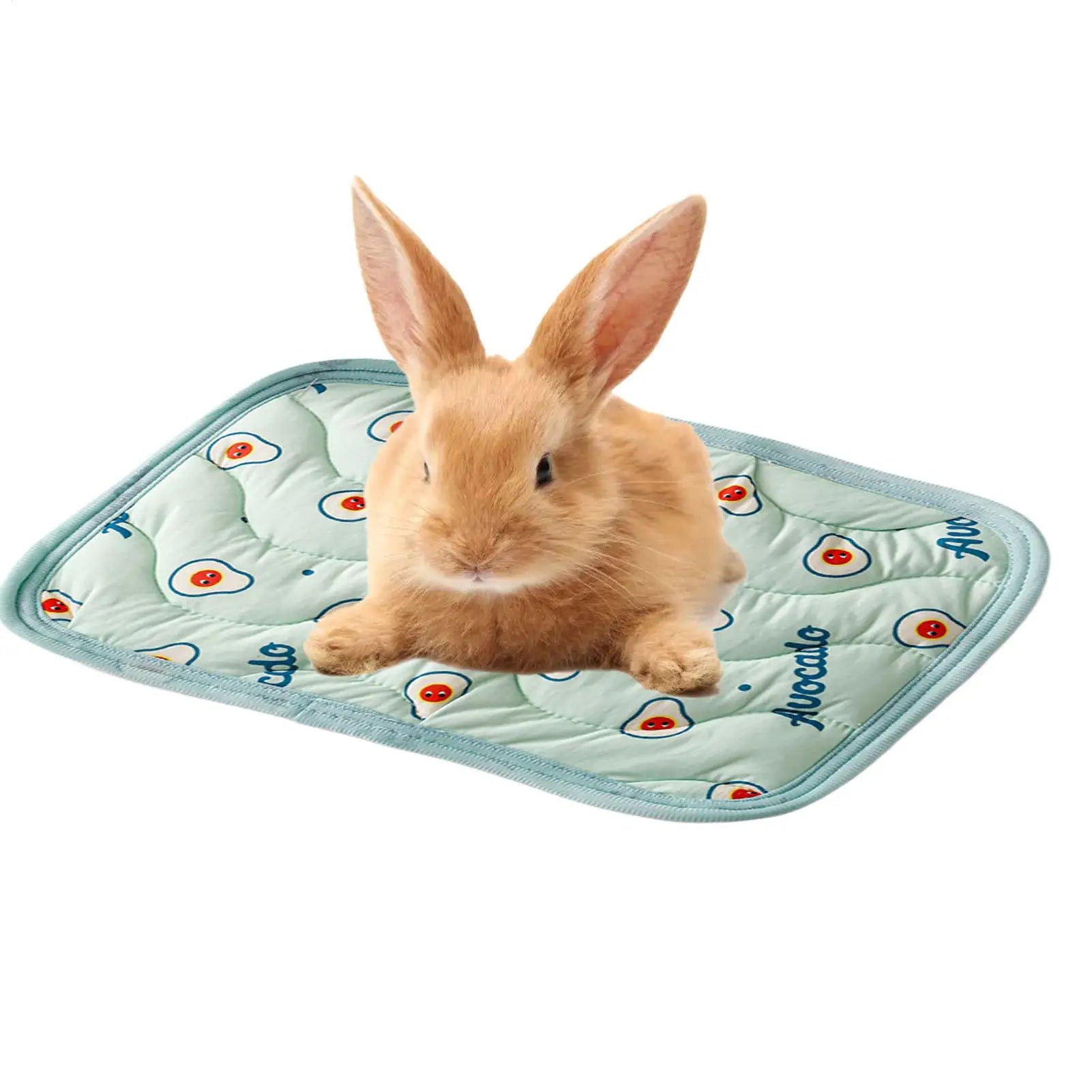 Dog Cooling Sleeping Bed Reusable Washable Cooling Surface Relieve Heat For Kitten Puppy Indoor Rest Camping Trip Car Ride