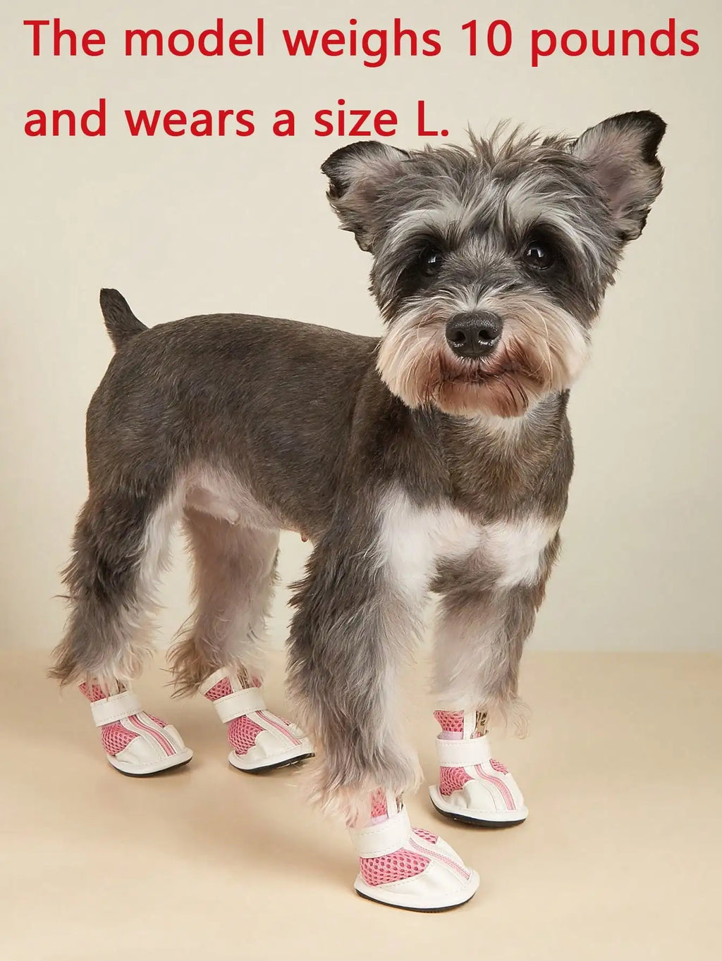Dog Shoes for Large Dog, Medium Dogs Boots & Paw Protectors for Winter Snowy Day, Summer Hot Pavement, Waterproof in Rainy