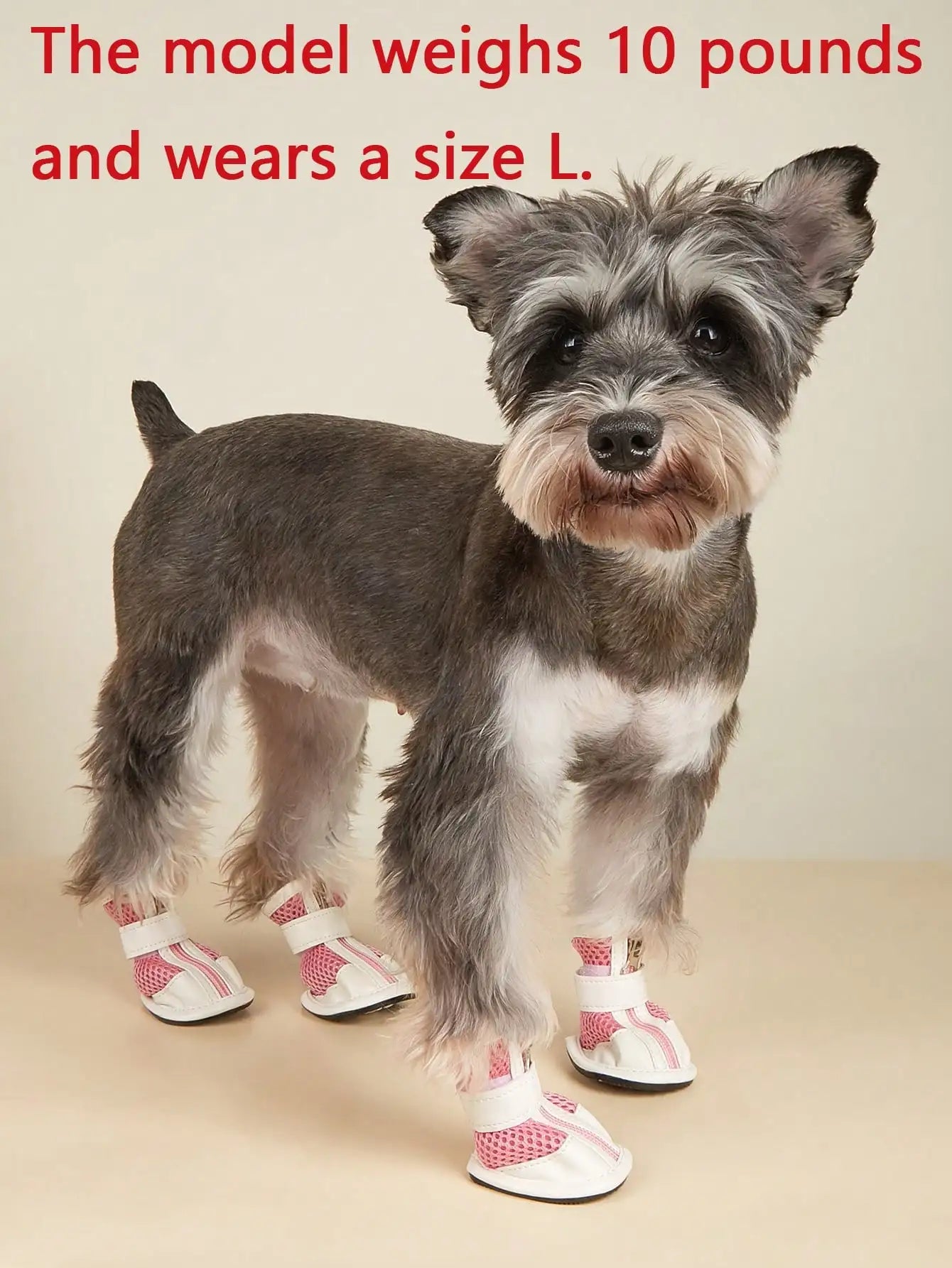 Dog Shoes for Large Dog, Medium Dogs Boots & Paw Protectors for Winter Snowy Day, Summer Hot Pavement, Waterproof in Rainy
