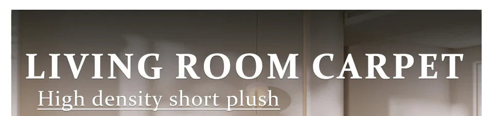 Living Room Carpet Large Area Rugs for Bedroom Decoration Rug Non-slip Floor Mat Home Decor Modern Tapis Salon שטיחים לסלון