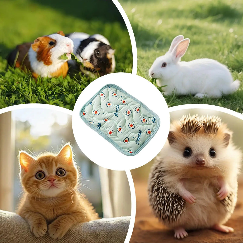 Dog Cooling Sleeping Bed Reusable Washable Cooling Surface Relieve Heat For Kitten Puppy Indoor Rest Camping Trip Car Ride