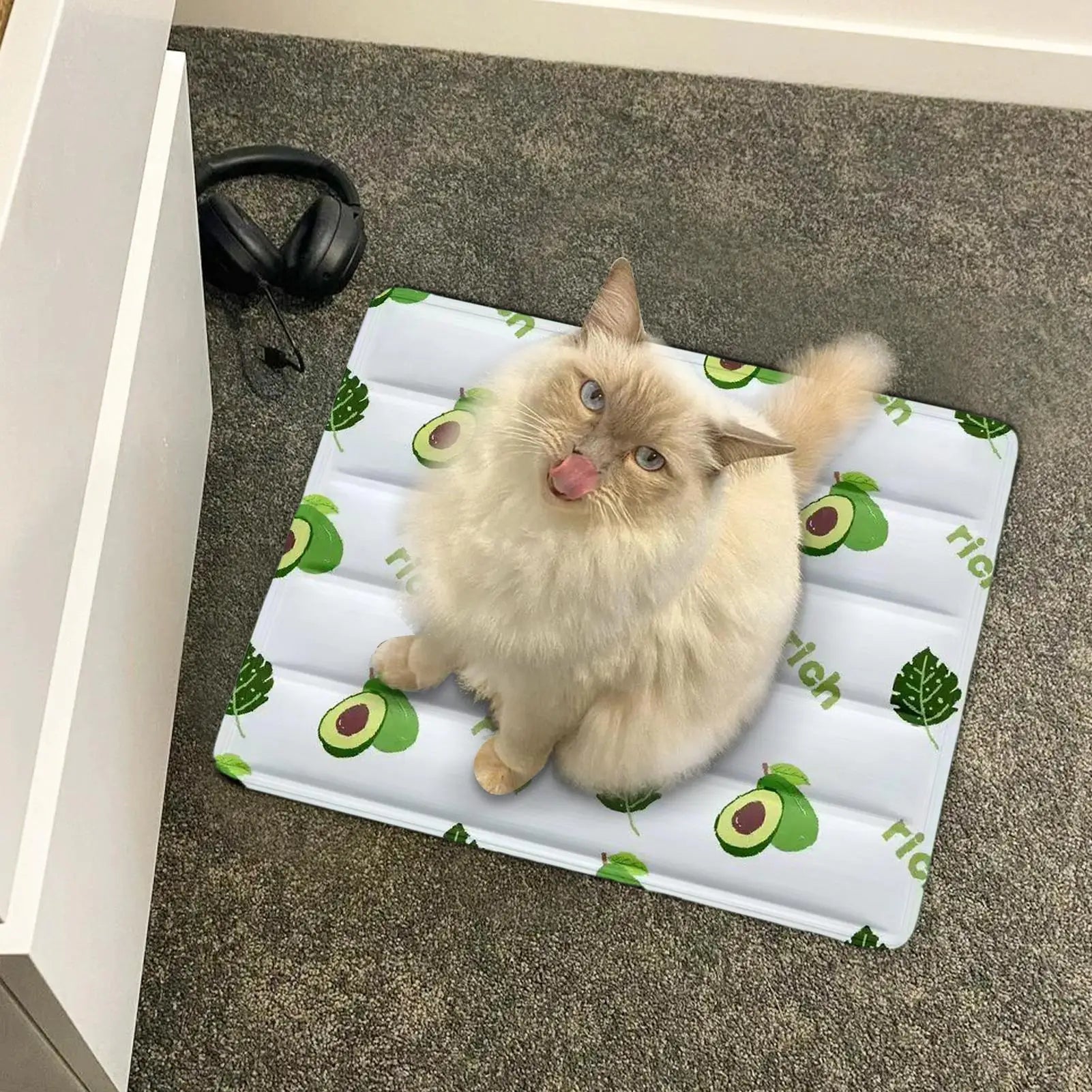 Dog Cooling Mat 30x40cm Ice Bed Soft Reusable Floor Cushion Summer Cool Mat for Small Medium Large Cats Indoor Outdoor Use