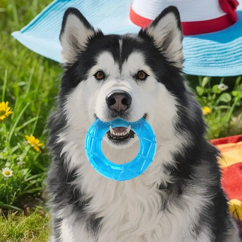 Pet Cooling Chew Toy, Summer Ice Cube Freezable Dog Teething Chew Toy for Puppies Training & Play, Fillable Puppy Teething Rings