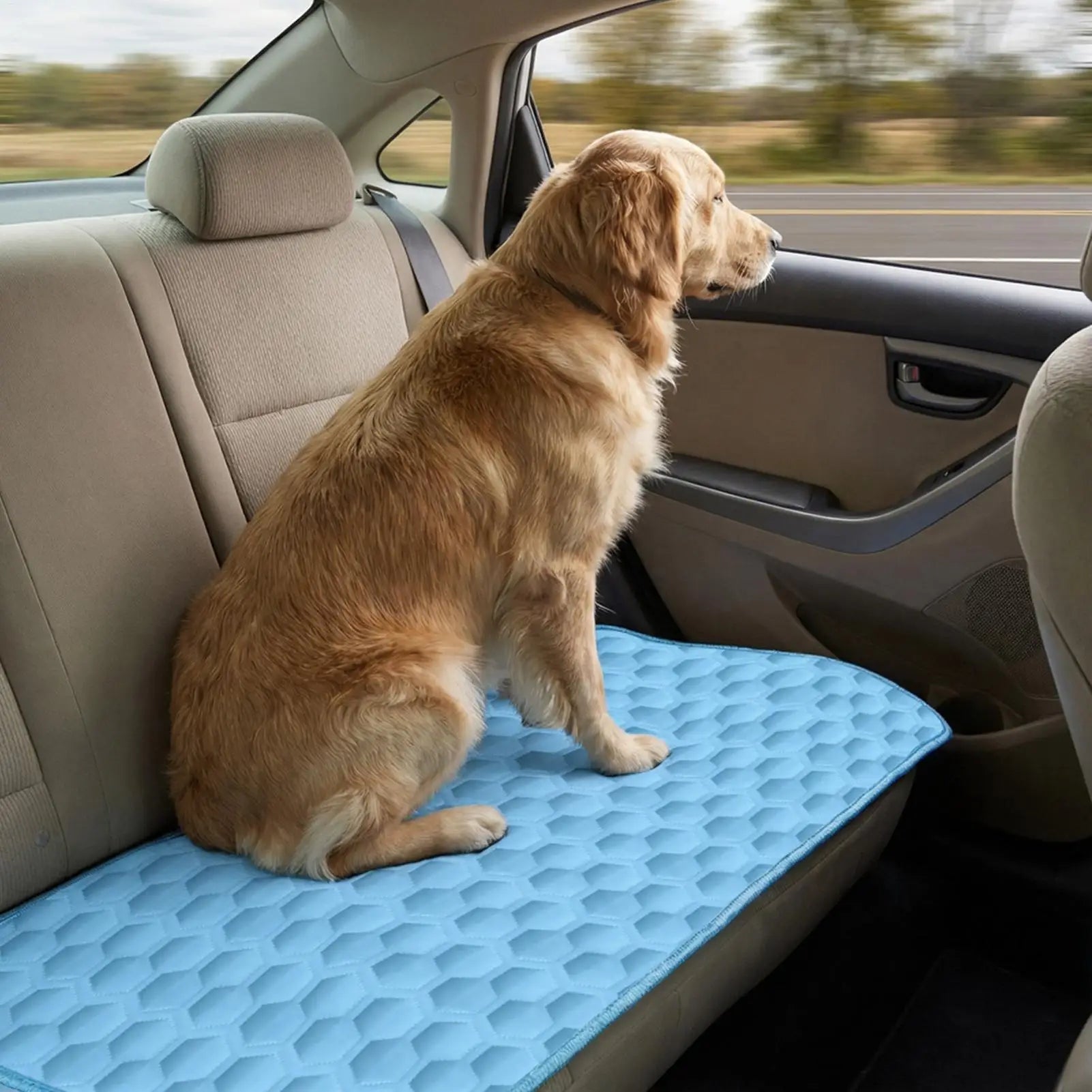 Dog Cooling Mat Summer Pet Cold Bed Extra Large For Small Big Dogs Pet Accessories Cat Durable Blanket Sofa Cat Ice Pad Blanket