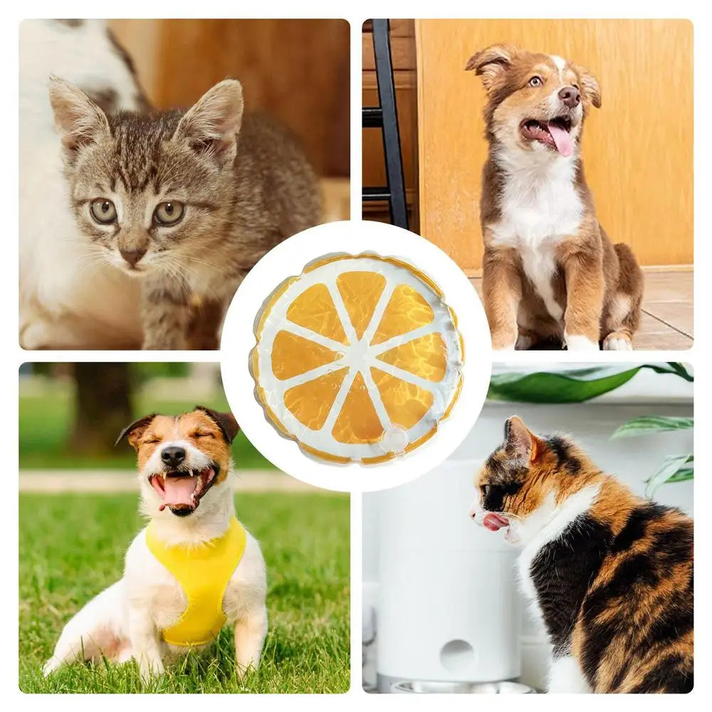 Pet Cooling Mat Cute Water Sensory Pad For Puppy Cute Fruit Pattern Cooler Cushion Pad Bed Sleeping Mattress For Dogs And Cats