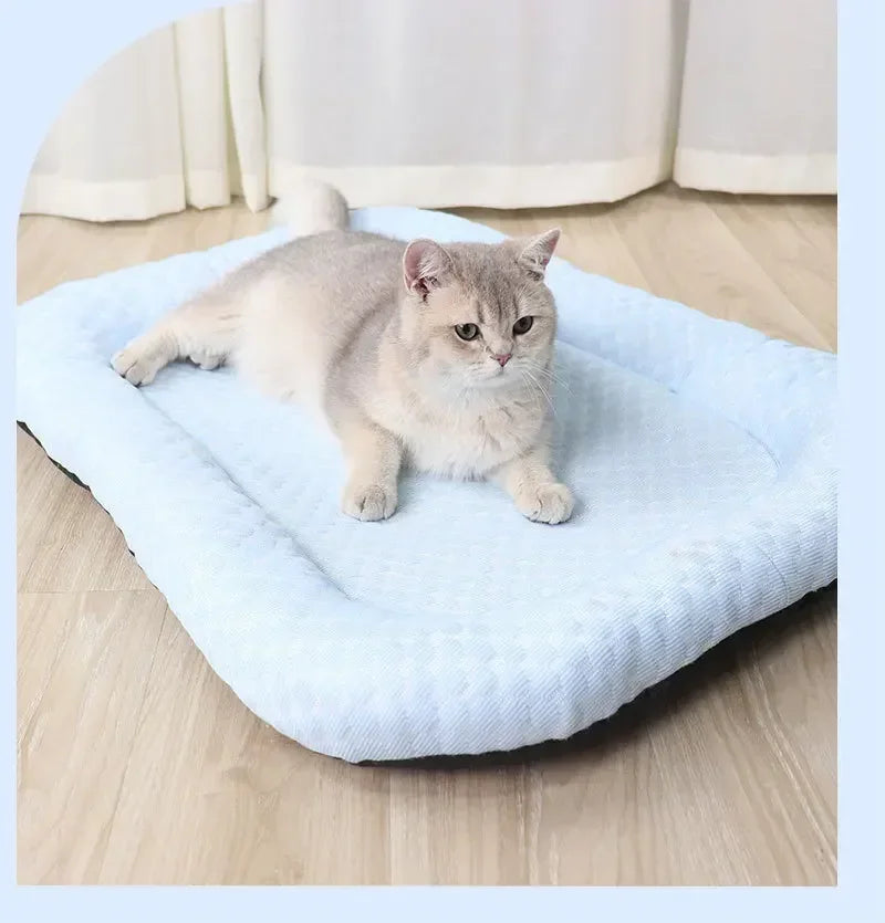 Dog Cooling Bed Mat Big Eyed Monster Cartoon Breathable Soft Ice Silk Sleeping Pad for Cat Moistureproof Cushion Matress Nonslip