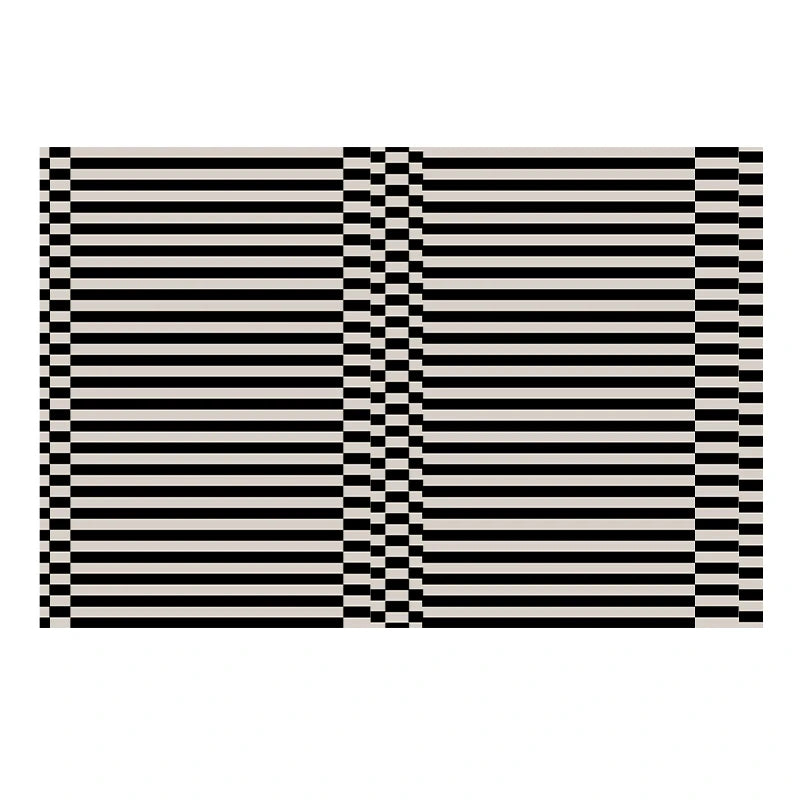 Fashion Style Carpet for Living Room Geometric Striped Decor Home Large Area Sofa Black White Rugs Bedroom Plush Non-slip Mat