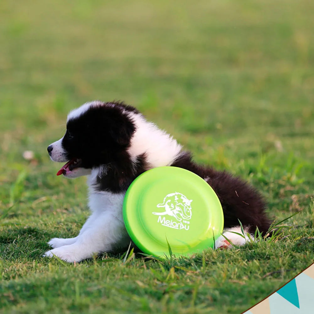 Dog Training Disc - Durable Pet  for Puppy & Adult Dog Training, Lightweight Easy-Catch Dog Training Toy, Essential Pet Supplies